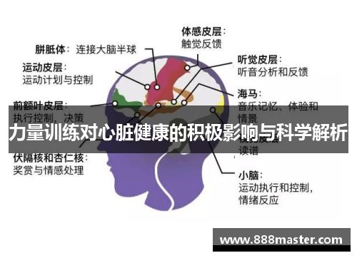 力量训练对心脏健康的积极影响与科学解析